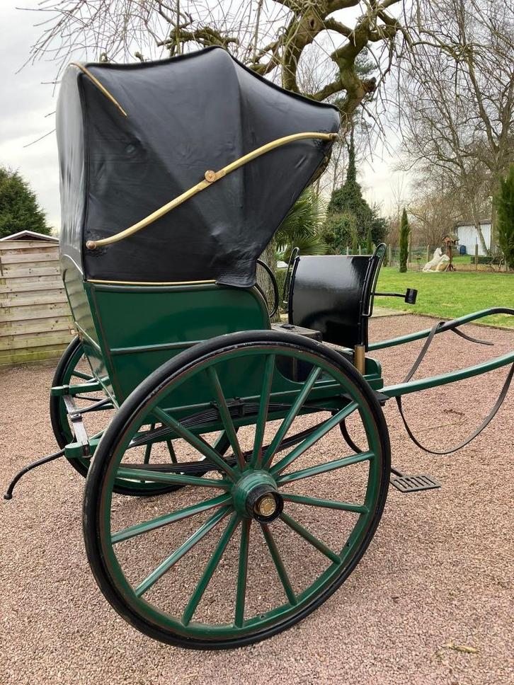 Paarden koets, Dieren en Toebehoren, Rijtuigen en Koetsen, Zo goed als nieuw, Overige typen, Paard of Pony