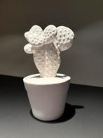Moderne cactus van ruwe, witte keramiek, Ophalen of Verzenden