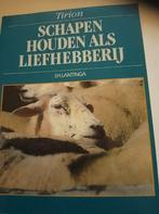 J.H. Lantinga - Schapen houden als liefhebberij, Ophalen of Verzenden, Zo goed als nieuw, Paarden of Pony's, J.H. Lantinga