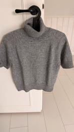 Purdey grijze coltrui met glitter, zilverdraad, Kleding | Dames, Ophalen of Verzenden, Zo goed als nieuw, Maat 38/40 (M), Grijs