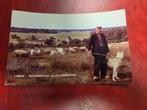 Lemele bij Ommen Schaapsherder op de Lemelerberg fotokaart, Ophalen of Verzenden, 1940 tot 1960, Overijssel