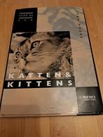 Katten & Kittens - Handboek voor kattenliefhebbers, Ophalen of Verzenden, Gelezen, Katten, Joan Moore