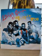 Living Colour  - solace of you, Verzenden, Zo goed als nieuw, Pop