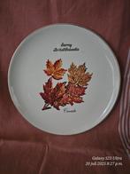 Souvenir Bord Surrey British Columbia Canada, Ophalen of Verzenden