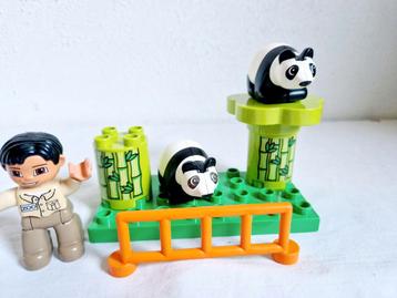 Duplo dierentuin dieren panda beschikbaar voor biedingen