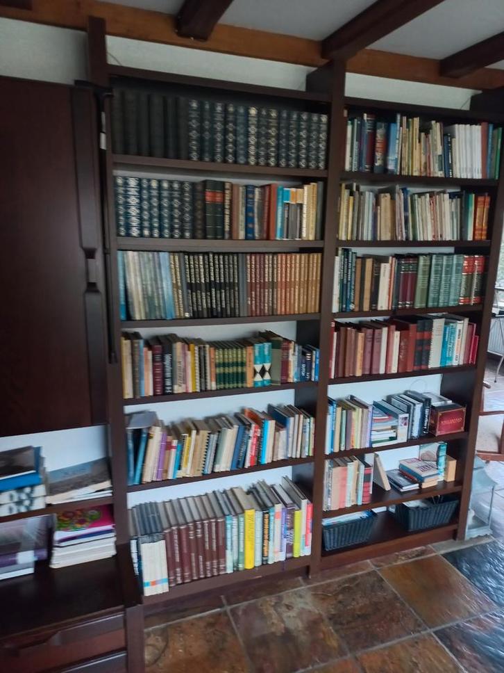 Boekenkast met boeken, Huis en Inrichting, Kasten | Boekenkasten, Ophalen of Verzenden