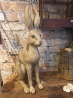 Schitterende grote levensechte haas, Ophalen of Verzenden