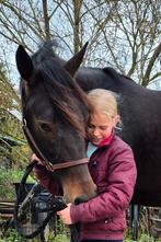 Lieve recreatie ruin 4 jaar(1.57) onbeleerd, Dieren en Toebehoren, Minder dan 160 cm, Ruin, 3 tot 6 jaar, Ontwormd