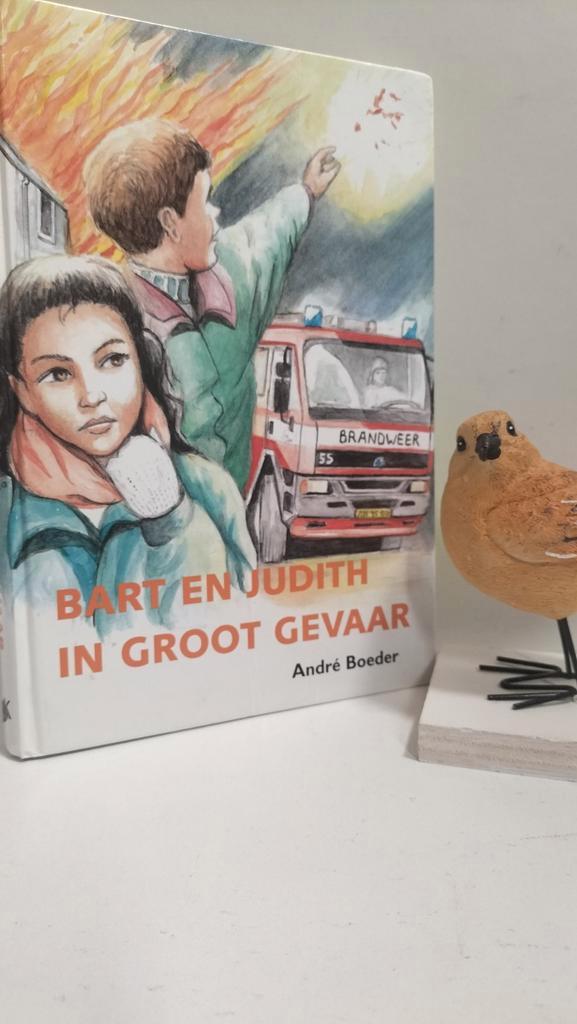 Boeder, Andre; Bart en Judith in groot gevaar, Boeken, Kinderboeken | Jeugd | 10 tot 12 jaar, Gelezen, Ophalen of Verzenden