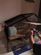 Hamster + kooi, Dieren en Toebehoren, Minder dan 60 cm, Kooi, Minder dan 75 cm, Ophalen of Verzenden