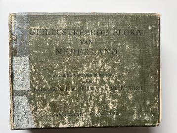 Geïllustreerde Flora van Nederland(1914) beschikbaar voor biedingen