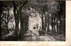 Rolde - Laan - te Rolde, Ophalen of Verzenden, Voor 1920, Gelopen, Drenthe