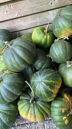 Biologie Roze pompoen, Tuin en Terras, Ophalen of Verzenden, Minder dan 100 cm, Overige soorten, Zomer
