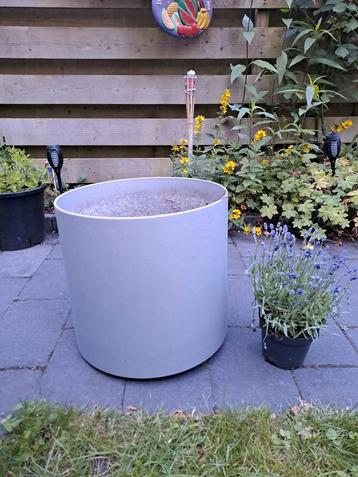 Gratis: hele grote plantenbak  met wieltjes ( kantoor- bak) beschikbaar voor biedingen