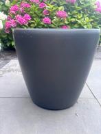 Mooie verrijdbare plantenpot met kunstboom, Ophalen of Verzenden, Rond, Minder dan 60 cm, Binnen
