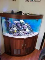 Aquarium zonder toebehoren, Dieren en Toebehoren, Ophalen, Gebruikt, Leeg aquarium