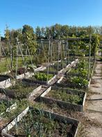 Moestuin spullen / palletranden, Tuin en Terras, Kweekspullen, Ophalen, Kweekbak