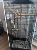 Stel valkparkiet, Ophalen of Verzenden, Zo goed als nieuw, Vogelkooi