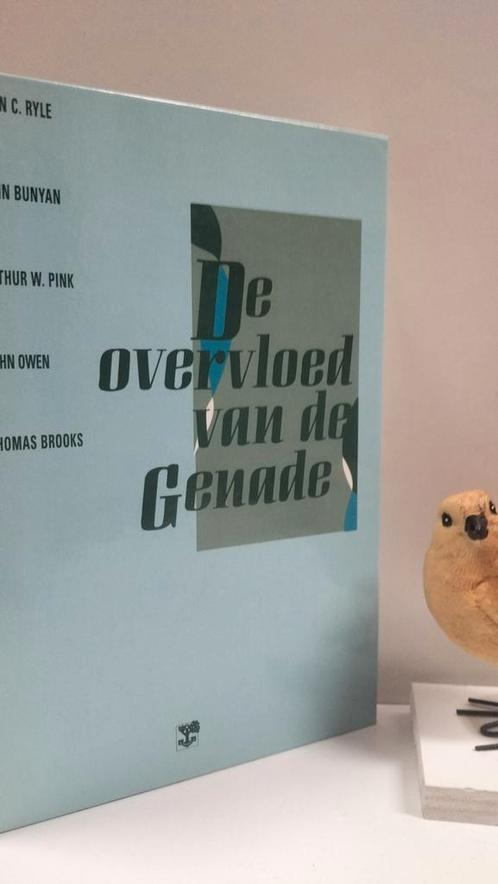 Ryle, J.C.e.a.; De overvloed van de genade, Boeken, Godsdienst en Theologie, Gelezen, Christendom | Protestants, Ophalen of Verzenden