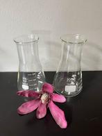 Erlenmeyer 300 ml, Huis en Inrichting, Ophalen of Verzenden, Zo goed als nieuw