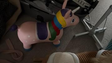 Skippy Paard Eenhoorn - Gebruikt beschikbaar voor biedingen