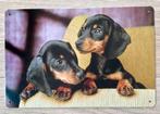 Dachshund Puppy's Teckel Metalen Wandbord Poster, Ophalen of Verzenden, Nieuw