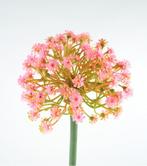 ALLIUM - KUNST - ROZE & WIT, Ophalen of Verzenden, Nieuw