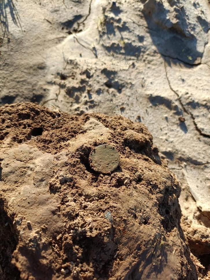 Grond gezocht voor metaaldetector hobbyist, Hobby en Vrije tijd, Metaaldetectors, Overige merken, Ophalen