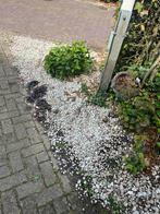 Gebruikte Grind/Stenen - Tuin & Oprit, Tuin en Terras, Grind, Keien en Split, Ophalen, Gebruikt, Wit, Overige materialen