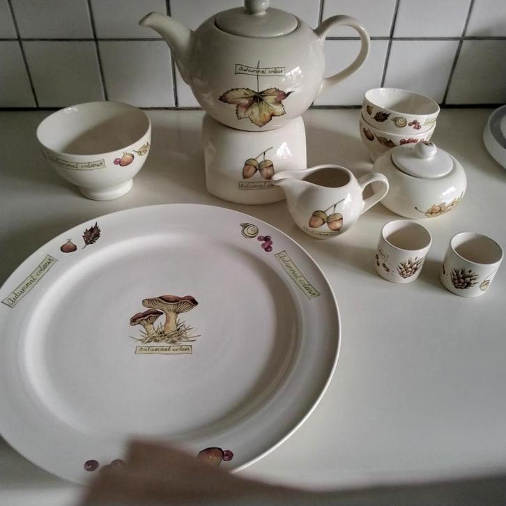 Jet autumnal colour, Huis en Inrichting, Keuken | Servies, Zo goed als nieuw, Kop(pen) en/of Schotel(s), Overige stijlen, Aardewerk