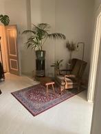 Benedenwoning bottendaal | vierdaagse Nijmegen, Huizen en Kamers, Kamers te huur, 50 m² of meer, Nijmegen