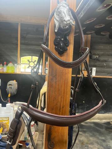 Hoofdstel beschikbaar voor biedingen