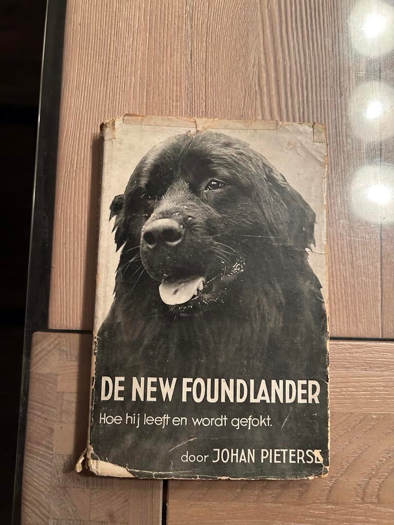De Newfoundlander - Johan Pieterse, Boeken, Ophalen of Verzenden, Gelezen