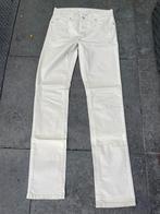 dames lange zomerbroek Angels Cici lichtgrijs mt 36, Nieuw, Ophalen of Verzenden, Angels, Maat 36 (S)