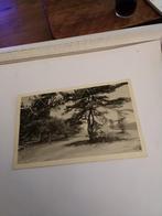 EDE. - DE TRAA.     1934, Ophalen of Verzenden, 1920 tot 1940, Gelderland