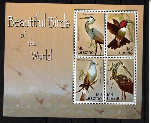 lesotho 2007  pf blok vogels birds, Postzegels en Munten, Postzegels | Thematische zegels, Postfris, Dier of Natuur, Ophalen of Verzenden