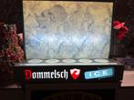 Dommelsch ice display verlicht, Reclamebord, Plaat of Schild, Ophalen of Verzenden, Dommelsch, Zo goed als nieuw