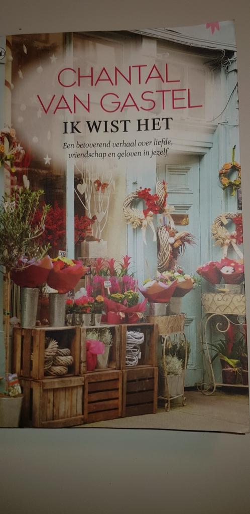 Chantal van Gastel - Ik wist het, Boeken, Romans, Zo goed als nieuw, Nederland, Ophalen of Verzenden