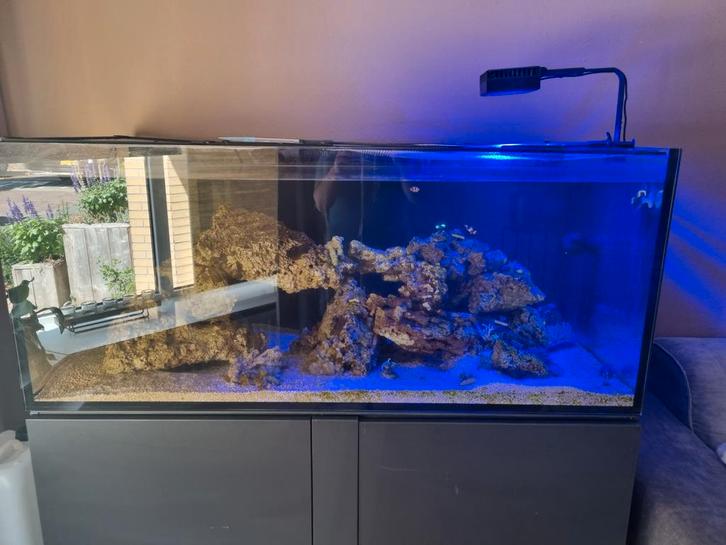 Zeeaquarium in perfecte staat, Dieren en Toebehoren, Vissen | Aquaria en Toebehoren, Zo goed als nieuw, Gevuld zeewateraquarium