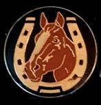 Paardenhoofd met hoefijzer pin, Verzamelen, Speldjes, Pins en Buttons, Verzenden, Nieuw, Dier of Natuur, Speldje of Pin