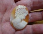 Ovale schelp camee, Verzenden, Overige materialen, Overige typen