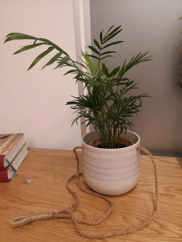 kapkrusbar 2x plantenhanger 12cm hoog
