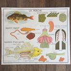 vintage school platen jr. 50/60, Ophalen of Verzenden, Overige thema's