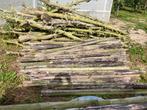 weidepalen boompalen heiningpalen, Ophalen, Zo goed als nieuw, Minder dan 180 cm, Palen
