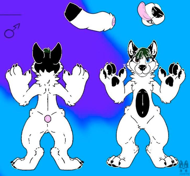 Pre-claim Fursuit (Only head), Hobby en Vrije tijd, Kostuums, Theaterbenodigdheden en LARP, Zo goed als nieuw, Ophalen of Verzenden