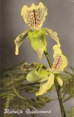 BLOEM BLOEMEN UIT 1960 ZEER MOOI OUDE KAART KH382, Ophalen of Verzenden, 1940 tot 1960, Gelopen, Overige thema's