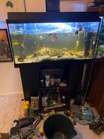 Aquarium 80x35x40 + onderkast, Ophalen, Gebruikt, Gevuld zoetwateraquarium