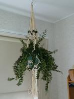 Plantenhanger Ecru Naturel (Nieuw) Handgemaakt, Huis en Inrichting, Kamerplanten, Ophalen of Verzenden, Overige soorten, Minder dan 100 cm