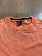 Oranje truien maat s, Ophalen of Verzenden, Nieuw, Oranje
