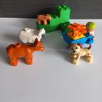 Lego Duplo Ville 4972 Boerderijdieren., Ophalen of Verzenden, Zo goed als nieuw, Complete set, Duplo
